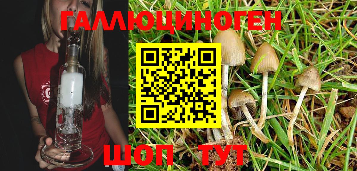 Галлюциногенные грибы MAGIC MUSHROOMS Рузаевка