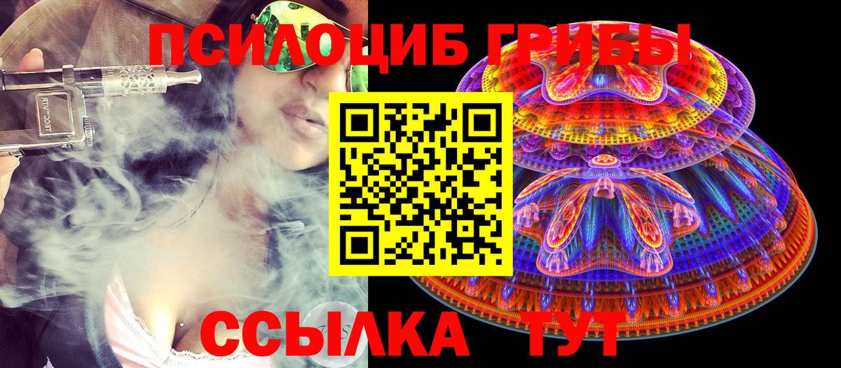 Рузаевка  Псилоцибиновые грибы Cubensis  Вход с VPN 